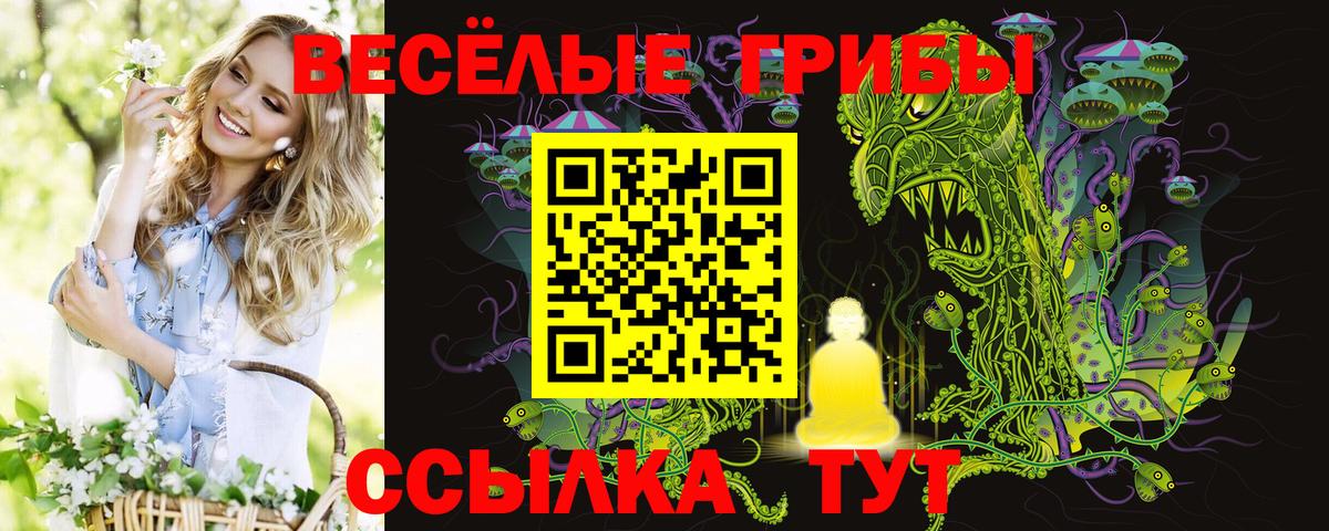 Галлюциногенные грибы GOLDEN TEACHER Горячий Ключ